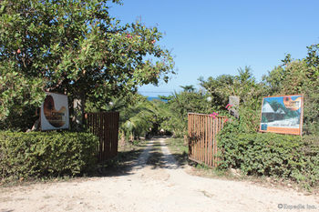 Cashew Grove Beach Resort Busuanga Exterior photo